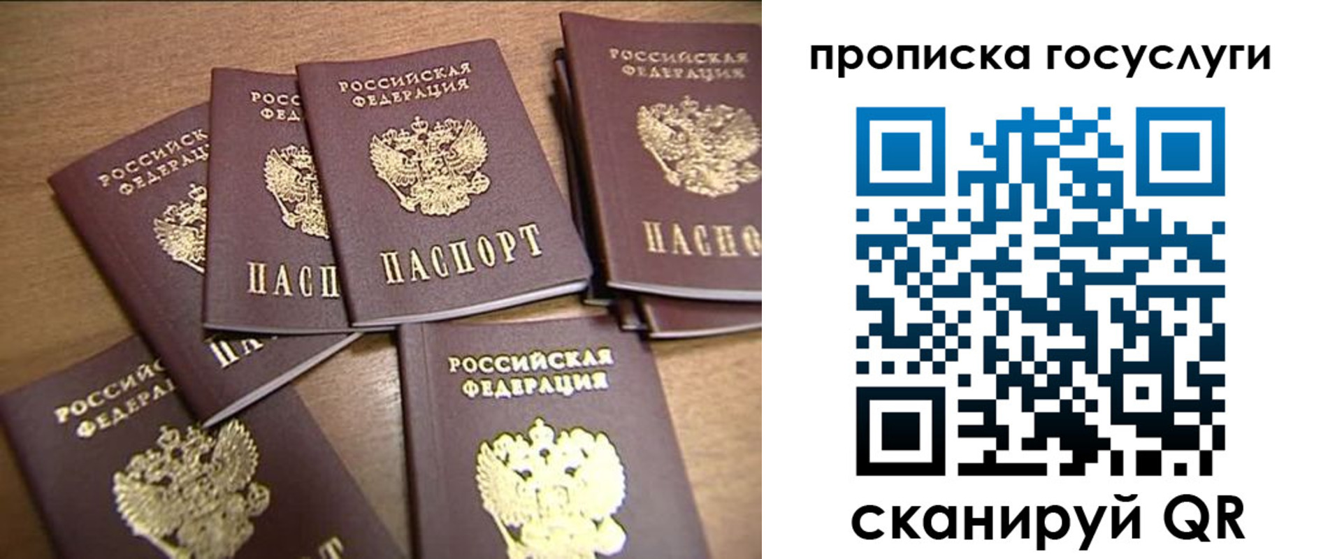 прописка ребенка в Жукове